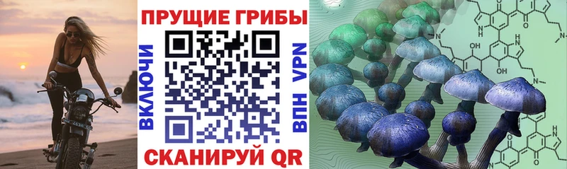 Купить где  Заозёрск  Галлюциногенные грибы MAGIC MUSHROOMS 