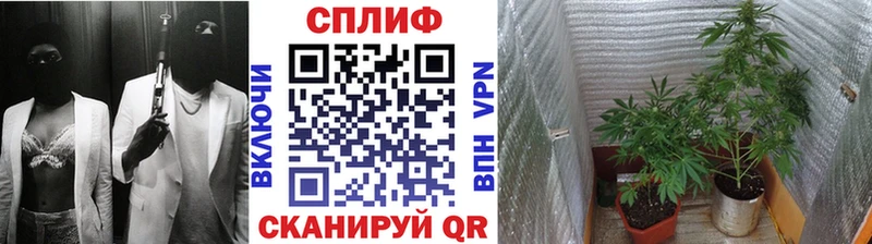 Купить  Заозёрск  Шишки марихуана ГИДРОПОН 